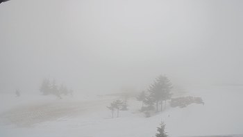Драгобрат 1 квітня 2019 року, 2019-04-01 10:00