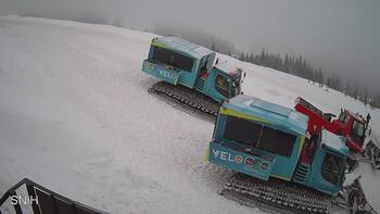 Драгобрат 24 січня 2026 року, 2026-01-24 10:00