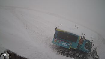 Драгобрат 31 січня 2026 року, 2026-01-31 13:00