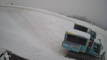 Драгобрат 3 лютого 2026 року, 2026-02-03 10:00