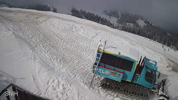 Драгобрат 3 лютого 2026 року, 2026-02-03 13:00