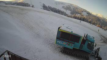 Драгобрат 3 лютого 2026 року, 2026-02-03 16:00