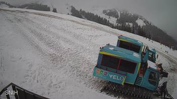 Драгобрат 8 лютого 2026 року, 2026-02-08 13:00