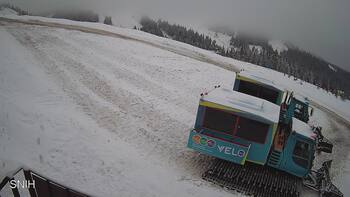 Драгобрат 10 лютого 2026 року, 2026-02-10 10:00