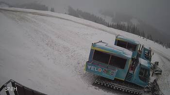 Драгобрат 11 лютого 2026 року, 2026-02-11 10:00