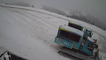 Драгобрат 17 лютого 2026 року, 2026-02-17 16:00