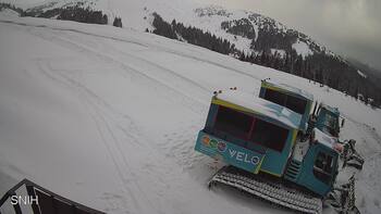 Драгобрат 19 лютого 2026 року, 2026-02-19 10:00