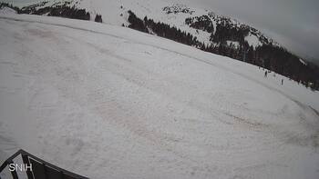 Драгобрат 21 лютого 2026 року, 2026-02-21 13:00