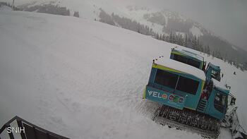 Драгобрат 24 лютого 2026 року, 2026-02-24 13:00