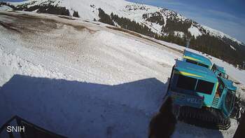 Драгобрат 8 березня 2026 року, 2026-03-08 10:00