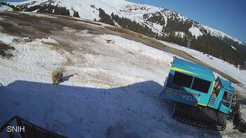 Драгобрат 12 березня 2026 року, 2026-03-12 10:00