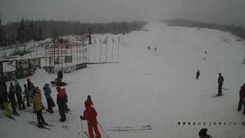 Красія 21 січня 2018 року, 2018-01-21 13:00