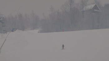 Красія 30 січня 2019 року, 2019-01-30 10:00