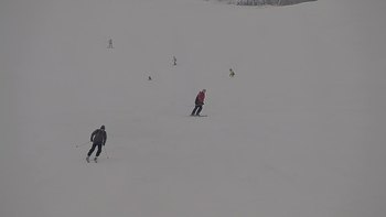 Красія 31 січня 2019 року, 2019-01-31 13:00
