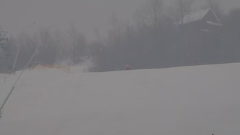 Красія 1 лютого 2019 року, 2019-02-01 13:00