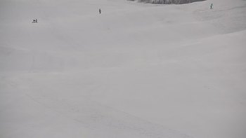 Красія 5 лютого 2019 року, 2019-02-05 10:00