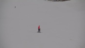 Красія 8 лютого 2019 року, 2019-02-08 10:00