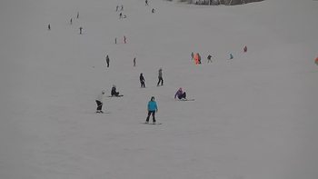 Красія 10 лютого 2019 року, 2019-02-10 13:00