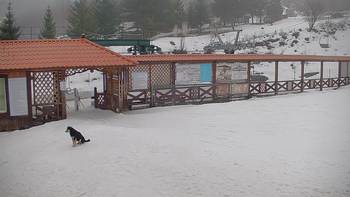 Красія 11 лютого 2019 року, 2019-02-11 16:00