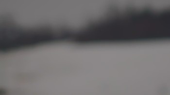 Красія 8 березня 2019 року, 2019-03-08 16:00