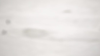 Красія 10 березня 2019 року, 2019-03-10 13:00