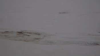 Красія 15 березня 2019 року, 2019-03-15 10:00