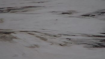 Красія 22 березня 2019 року, 2019-03-22 10:00