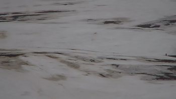 Красія 22 березня 2019 року, 2019-03-22 13:00