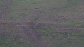 Красія 1 травня 2019 року, 2019-05-01 13:00