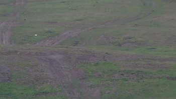 Красія 14 травня 2019 року, 2019-05-14 16:00
