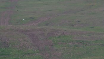 Красія 16 травня 2019 року, 2019-05-16 16:00