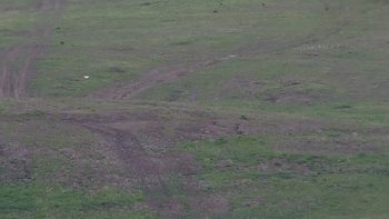 Красія 18 травня 2019 року, 2019-05-18 13:00