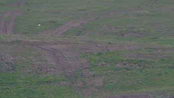 Красія 19 травня 2019 року, 2019-05-19 13:00