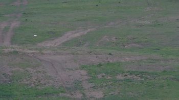 Красія 20 травня 2019 року, 2019-05-20 13:00