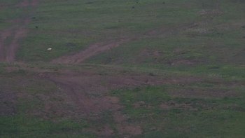 Красія 20 травня 2019 року, 2019-05-20 16:00