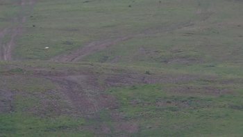 Красія 21 травня 2019 року, 2019-05-21 10:00