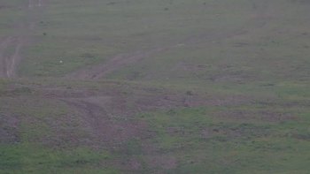 Красія 23 травня 2019 року, 2019-05-23 10:00