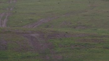 Красія 23 травня 2019 року, 2019-05-23 13:00