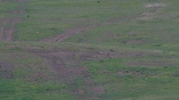 Красія 25 травня 2019 року, 2019-05-25 13:00