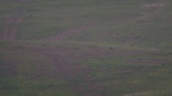 Красія 29 травня 2019 року, 2019-05-29 13:00