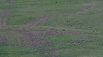 Красія 30 травня 2019 року, 2019-05-30 16:00