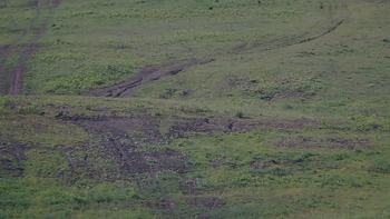 Красія 1 червня 2019 року, 2019-06-01 10:00