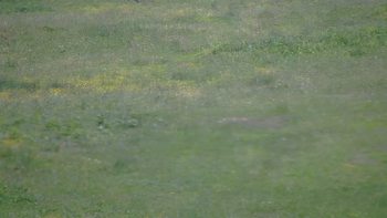 Красія 1 червня 2019 року, 2019-06-01 16:00