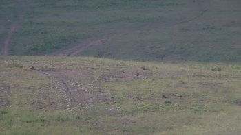 Красія 8 червня 2019 року, 2019-06-08 10:00