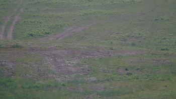 Красія 10 червня 2019 року, 2019-06-10 13:00