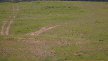 Красія 10 червня 2019 року, 2019-06-10 16:00