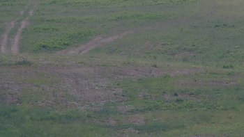 Красія 11 червня 2019 року, 2019-06-11 13:00