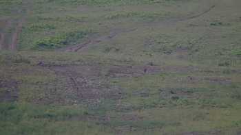 Красія 12 червня 2019 року, 2019-06-12 10:00