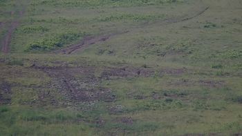 Красія 13 червня 2019 року, 2019-06-13 10:00