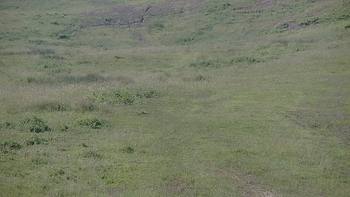 Красія 14 червня 2019 року, 2019-06-14 10:00